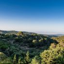 09-FincaViewMisc-BellaRocca_49