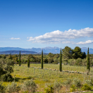 Foto: Marco Richter (Mallorco Photography)